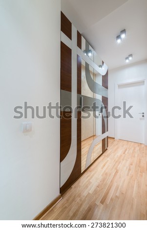 Modern anteroom interior with closet