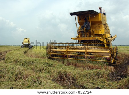 A harvesting machine is used to harvest paddy in sekinchan, malaysia