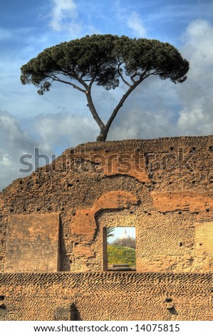 Lone tree over the ruins of a roman palace. St-Peters Basilica is visible through the window.
