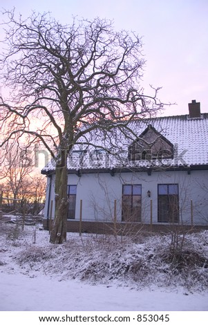 House in the snow with a tree at Sunrise.
