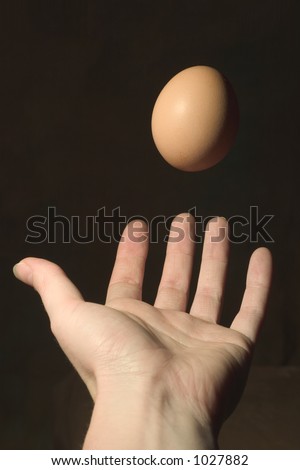 Woman\'s hand catching an egg. Detailed egg & fingerprints.