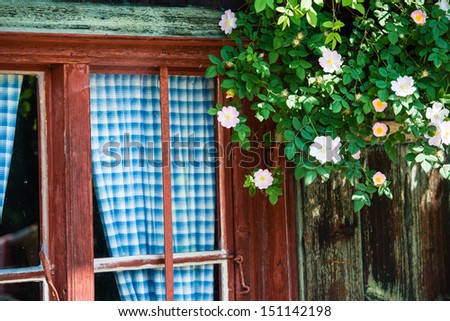 Idyllic Bavarian alpine cottage - window with curtains and wild roses