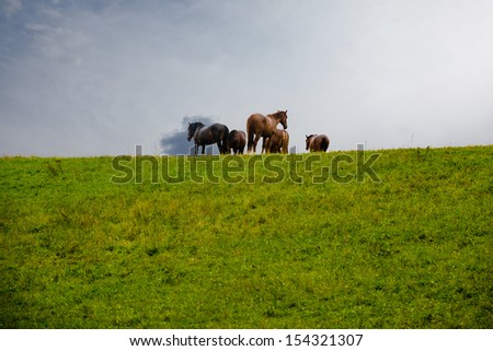 Mountain landscape with grazing horses and rain with storm clouds in Bavaria, Germany