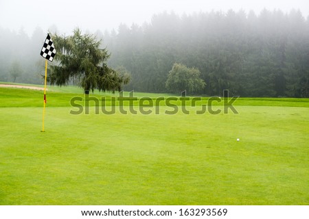 golf ball on green with target flag on beautiful golf course