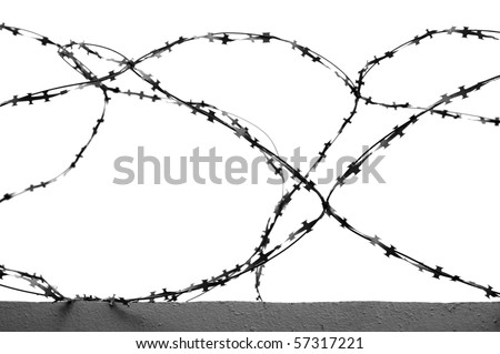 in this photograph shows the barbed wire on white background