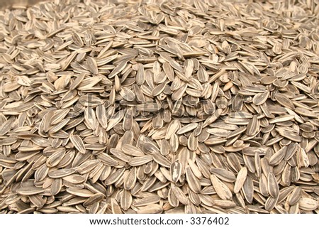 Pile of Seeds