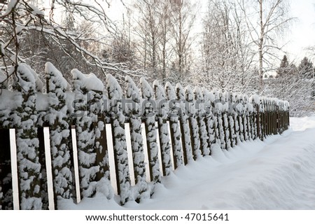 Snowy wooden fence in winter light