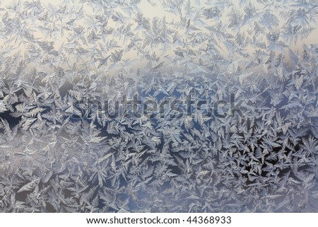 Frozen Texture