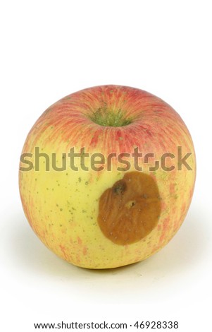 Bad rotten apple isolated on white background