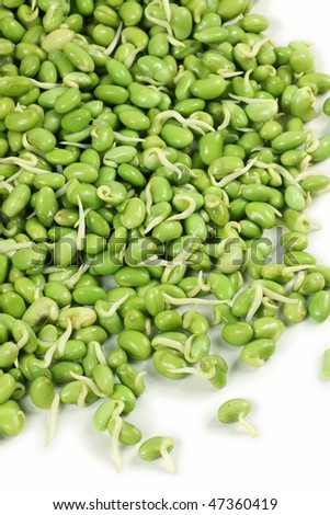 lima bean on white background