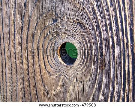 Aged Wooden Fence Board with Knot Hole.