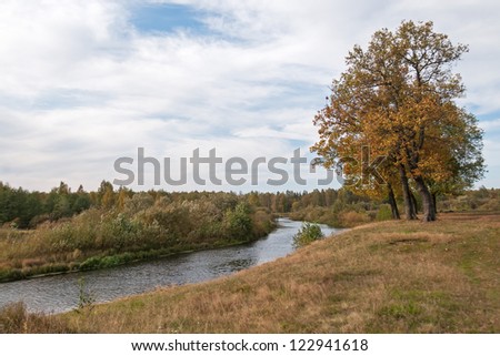 Panorama of river valley with oaks on high bank and bush growth on opposite riverside. Nizhegorodsky region, Russia.