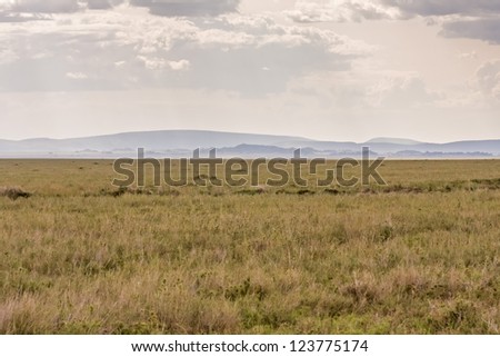 Plain savanna grass field against mountain and cloudy sky background. Serengeti National Park, Tanzania, Africa.