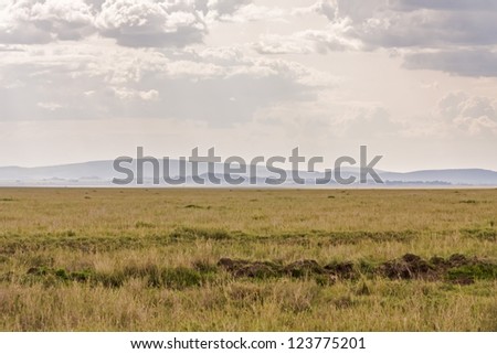 Plain savanna grass field against mountain and cloudy sky background. Serengeti National Park, Tanzania, Africa.