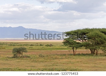 Savanna plain with acacia tree against distance view on mountain and cloudy sky background. Lake Manyara National Park, Tanzania, Africa.