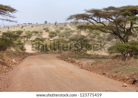 Dirty road between acacia growth against hill slope and sky background. Lake Manyara National Park, Tanzania, Africa.