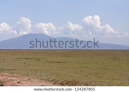 Plain savanna grass field with grazing animals against mountain and cloudy sky background. Serengeti National Park, Tanzania, Africa.