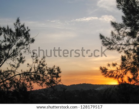 Bright evening glow at sunset with pine branch in sun back light. Jinja, Uganda, Eastern Africa.