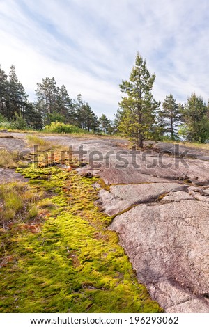 View on overgrown with moss granite shore. Besov Nos cape, Karelia Republic, Russia.