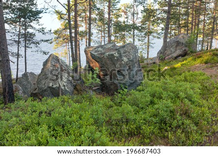 View on Onega Lake trough trees with huge granite boulders before. Besov Nos cape, Karelia Republic, Russia.