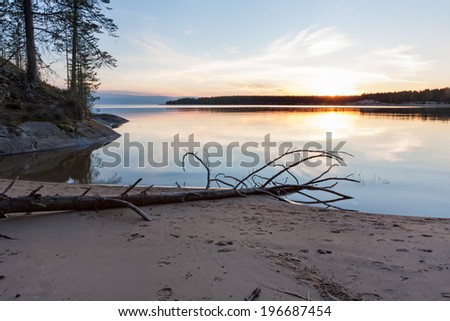View on Onega Lake shore with fallen trunk and evening glowing reflecting in calm water at midnight sun. Besov Nos cape, Karelia Republic, Russia.