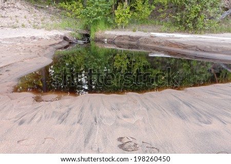 View on Onega Lake sand shore with spring and trees reflection in backwater. Besov Nos cape, Karelia Republic, Russia.