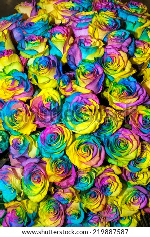 Beautiful multicolor rainbow roses background