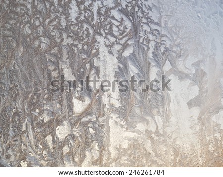 Beautiful ice floral pattern on glass, holiday seasonal background