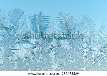 Ice floral pattern on glass in blurred vignette. Macro view. Holiday seasonal background