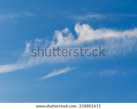 Wool-pack plume clouds in blue sky