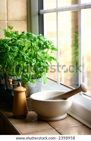 A window display in the kitchen with a pot of fresh basil, pestle and mortar plus a pepper mill.