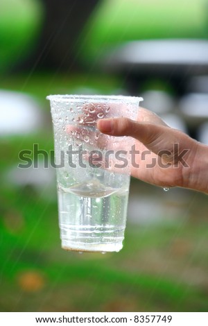 cup collecting rain water.