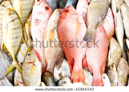 Close up of lovely fresh fish in a wet market
