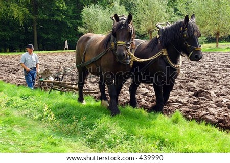 A farmer ploughing the land the old fashion way.