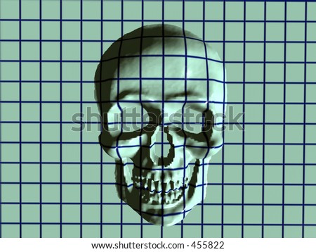 Bryce creation, a skull in 3D with a patterned grid, x ray like.