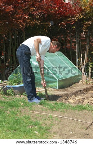 Handsome Middle aged man working in the garden, spading the ground.