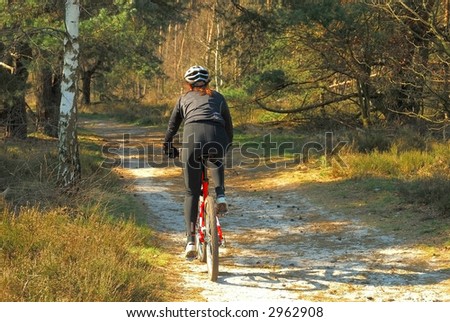 Forrest path with bicyclist, fitness, sport on autumn, fall day in belgium.