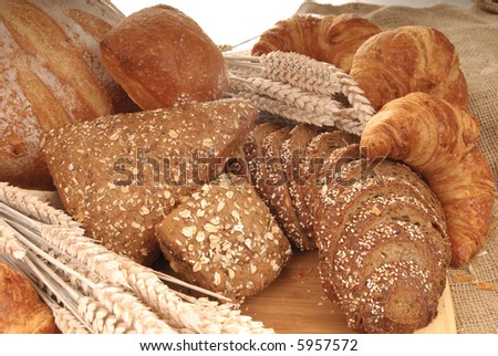 Variety of nutritional breads, ranging from simple white to whole wheat, freshly home baked on burlap, jute cloth