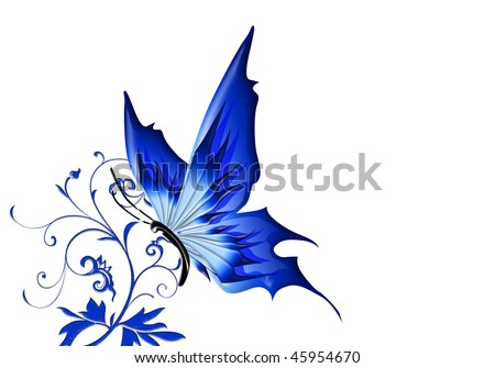 wallpaper blue butterfly. stock photo : Blue butterfly