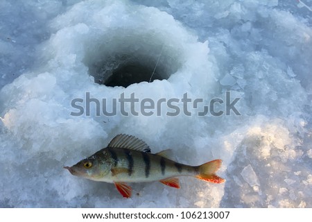 Fishing on lake in -15 degrees Celsius, 5 (F) Fahrenheit