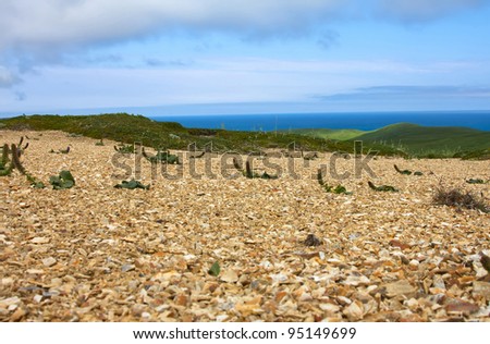 Golets. View from mountains to Bering sea. Golets and tundra vegetetion
