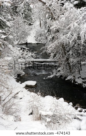 american fork river with frozen frosty snowy trees overhanging