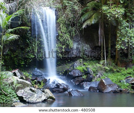 Australian Tropical