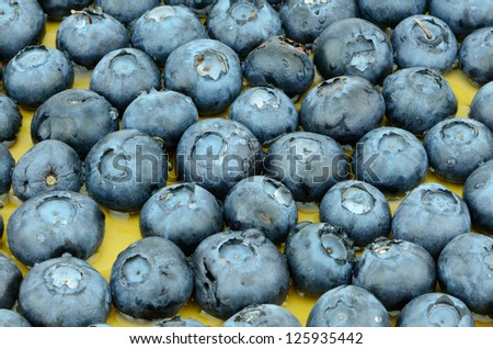 Studio work of a group of blueberries -  Good source of essential nutrients.