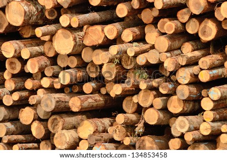 Stack of logs in the log yard at a lumber processing mill that specializes in small logs