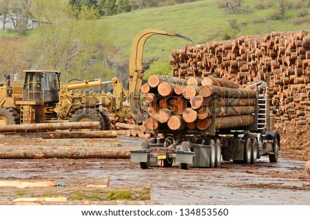 A log truck delivers a load of logs to the log yard at a lumber processing mill that specializes in small logs