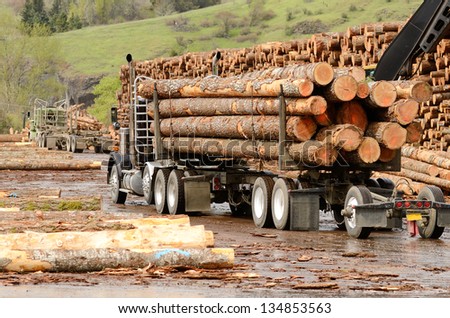 A log truck delivers a load of logs to the log yard at a lumber processing mill that specializes in small logs