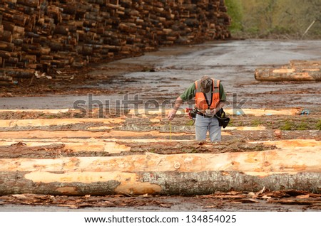 log scaler working the log yard at a lumber processing mill that specializes in small logs