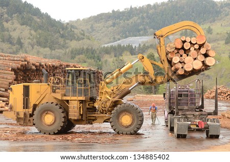 A large wheeled front end log loader unloading a log truck at a log yard at a lumber processing mill that specializes in small logs