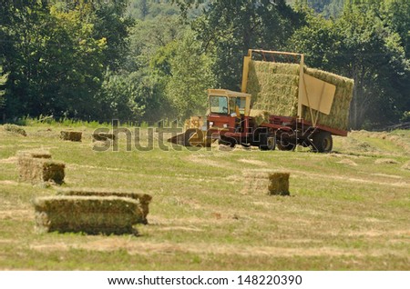 Self contained hay bale wagon picking up bales of alfalfa from a farm field